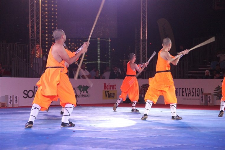 Martial Arts Festival